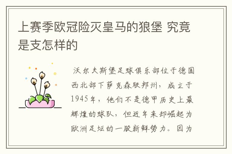 上赛季欧冠险灭皇马的狼堡 究竟是支怎样的
