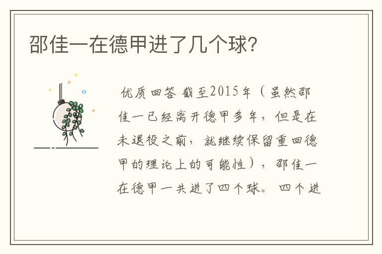 邵佳一在德甲进了几个球?