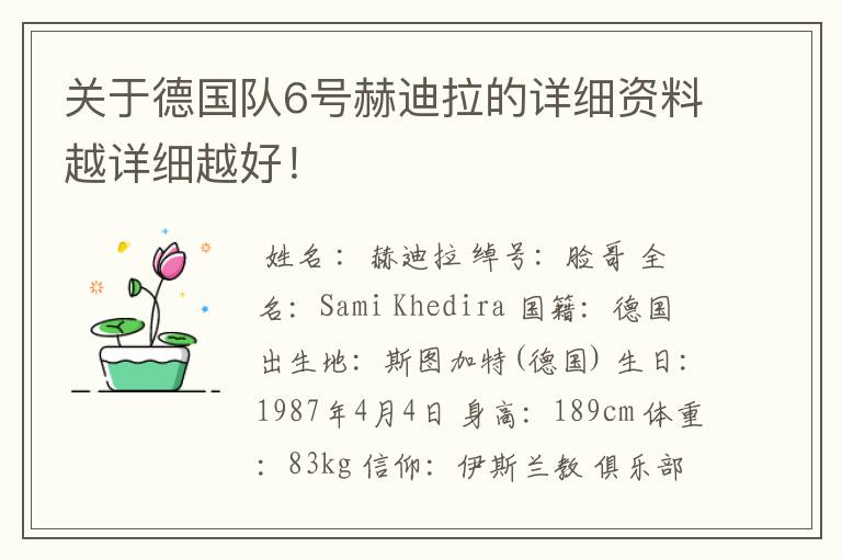 关于德国队6号赫迪拉的详细资料越详细越好!