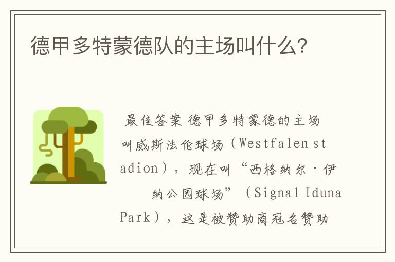 德甲多特蒙德队的主场叫什么?