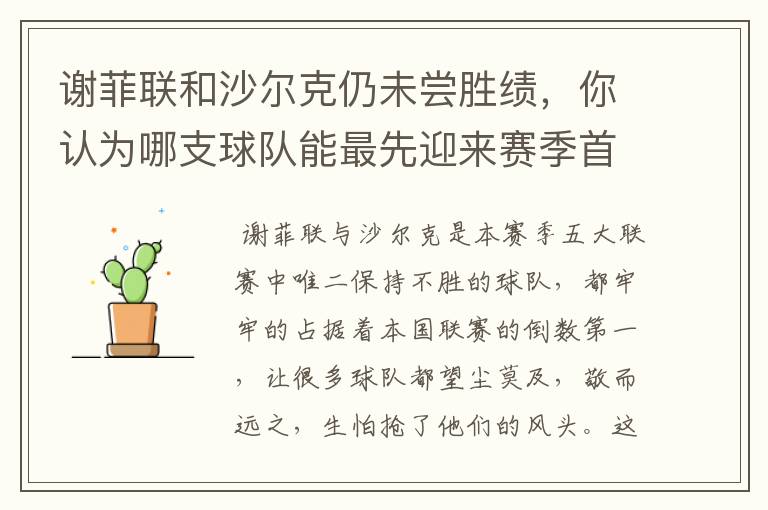 谢菲联和沙尔克仍未尝胜绩,你认为哪支球队能最先迎来赛季首胜?