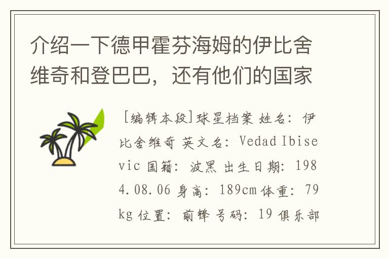 介绍一下德甲霍芬海姆的伊比舍维奇和登巴巴,还有他们的国家队履历