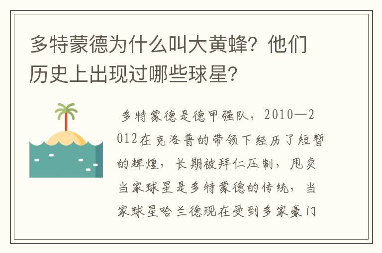 多特蒙德为什么叫大黄蜂？他们历史上出现过哪些球星？