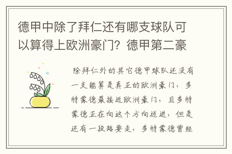 德甲中除了拜仁还有哪支球队可以算得上欧洲豪门?德甲第二豪门是谁?国家德比是拜仁对谁?