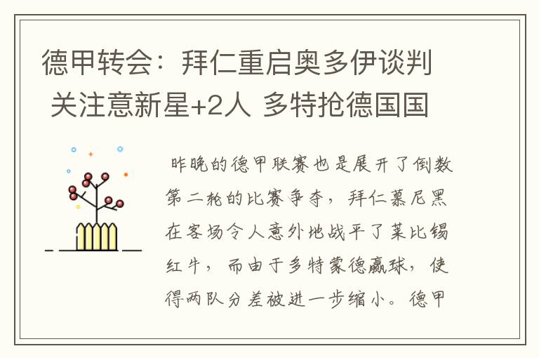 德甲转会:拜仁重启奥多伊谈判 关注意新星+2人 多特抢德国国脚