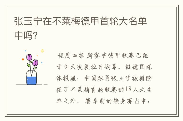 张玉宁在不莱梅德甲首轮大名单中吗?