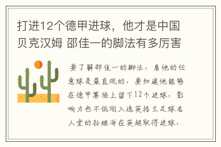 打进12个德甲进球,他才是中国贝克汉姆 邵佳一的脚法有多厉害