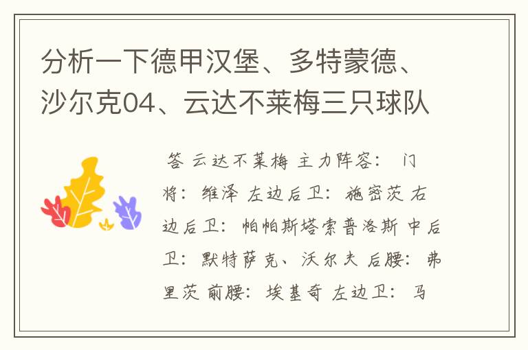 分析一下德甲汉堡、多特蒙德、沙尔克04、云达不莱梅三只球队的人员打法和阵型