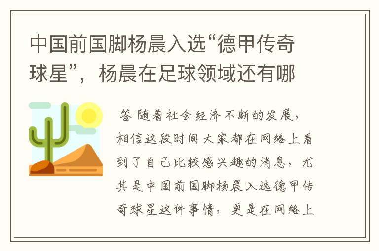 中国前国脚杨晨入选“德甲传奇球星”,杨晨在足球领域还有哪些成就?