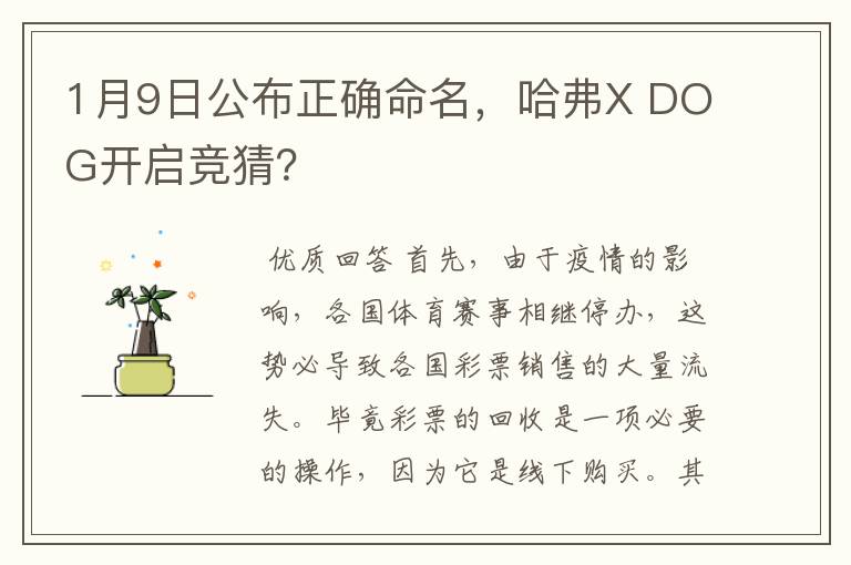 1月9日公布正确命名,哈弗X DOG开启竞猜?