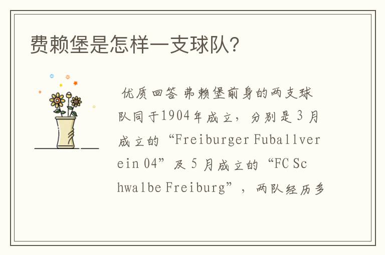 费赖堡是怎样一支球队？