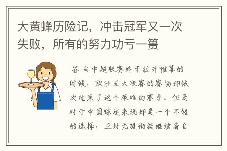 大黄蜂历险记,冲击冠军又一次失败,所有的努力功亏一篑