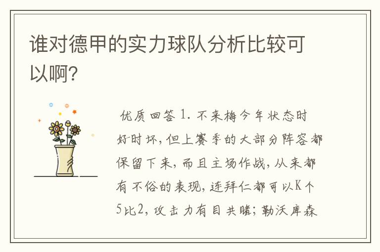 谁对德甲的实力球队分析比较可以啊?