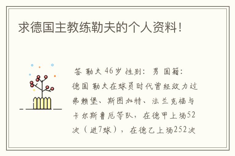 求德国主教练勒夫的个人资料!