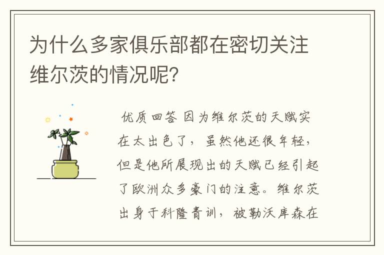 为什么多家俱乐部都在密切关注维尔茨的情况呢?
