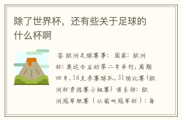 除了世界杯,还有些关于足球的什么杯啊