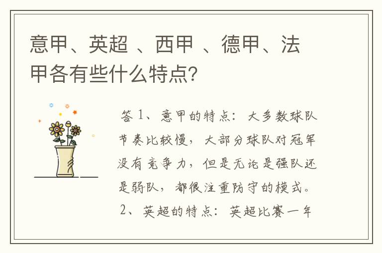 意甲、英超 、西甲 、德甲、法甲各有些什么特点?