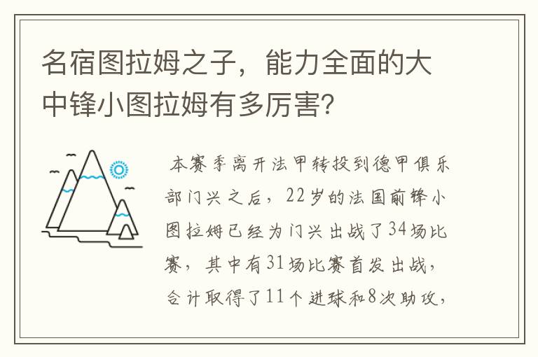 名宿图拉姆之子,能力全面的大中锋小图拉姆有多厉害?