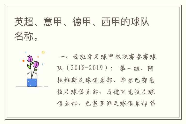 英超、意甲、德甲、西甲的球队名称。