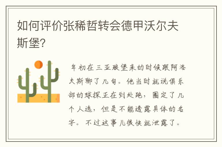 如何评价张稀哲转会德甲沃尔夫斯堡?