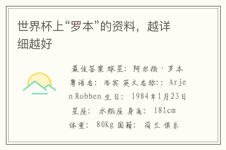 世界杯上“罗本”的资料,越详细越好