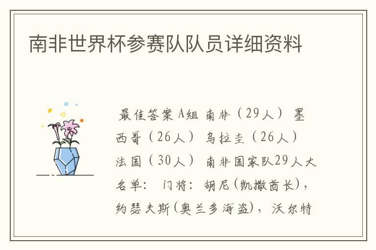 南非世界杯参赛队队员详细资料