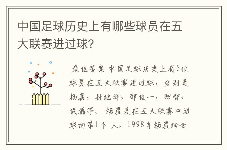 中国足球历史上有哪些球员在五大联赛进过球？