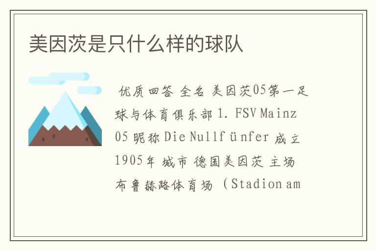 美因茨是只什么样的球队