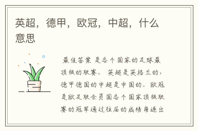 英超,德甲,欧冠,中超,什么意思
