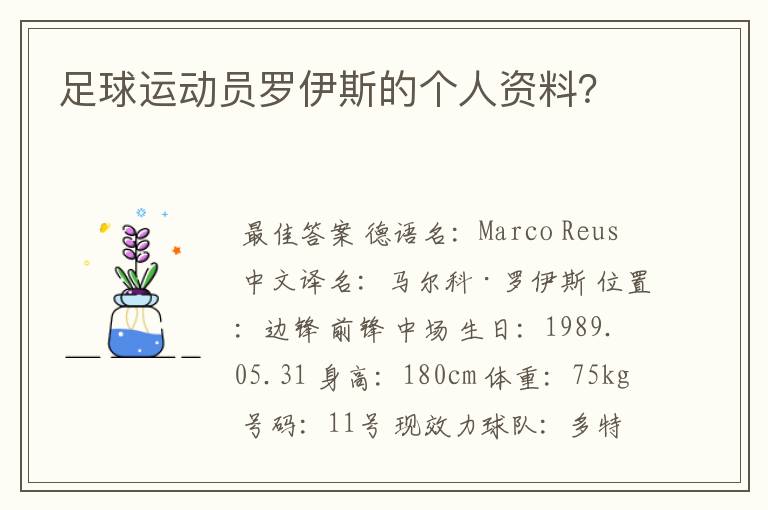 足球运动员罗伊斯的个人资料?
