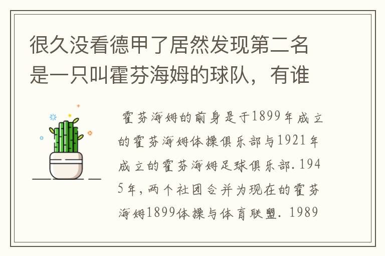 很久没看德甲了居然发现第二名是一只叫霍芬海姆的球队,有谁知道吗