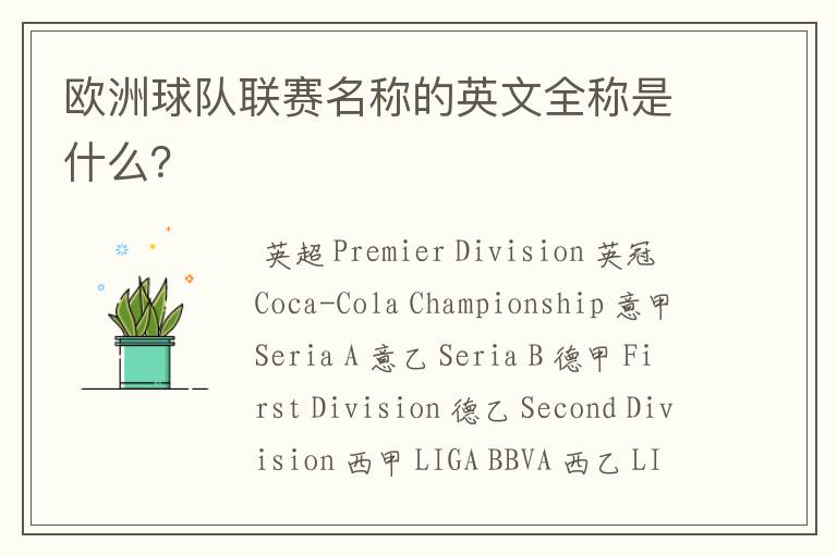欧洲球队联赛名称的英文全称是什么?