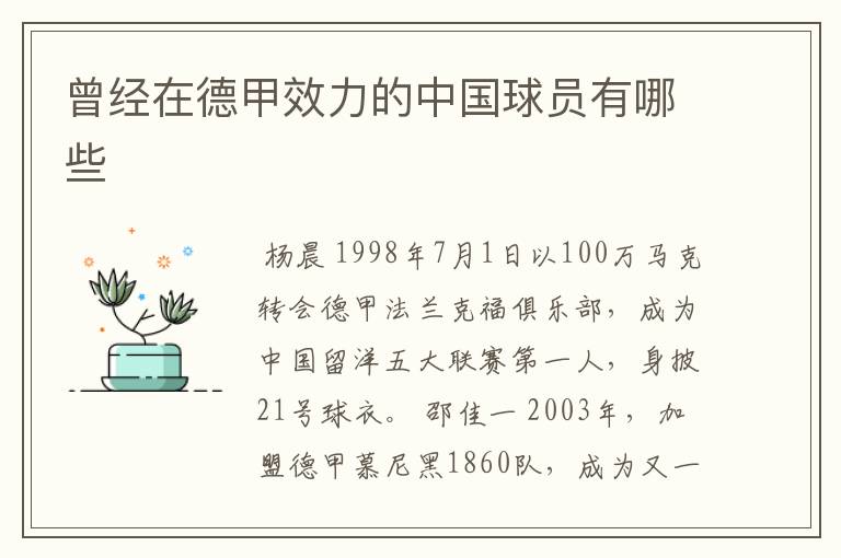 曾经在德甲效力的中国球员有哪些