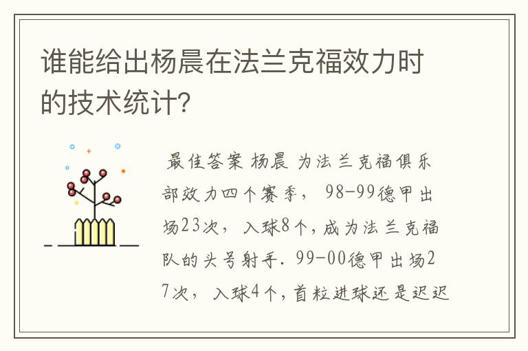谁能给出杨晨在法兰克福效力时的技术统计?