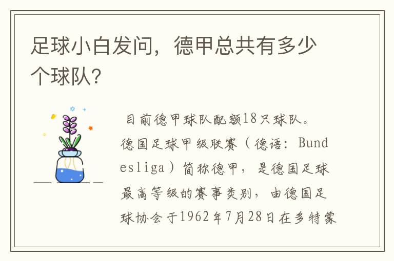 足球小白发问,德甲总共有多少个球队?
