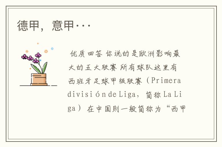 德甲,意甲···