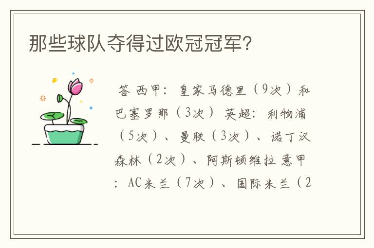 那些球队夺得过欧冠冠军?