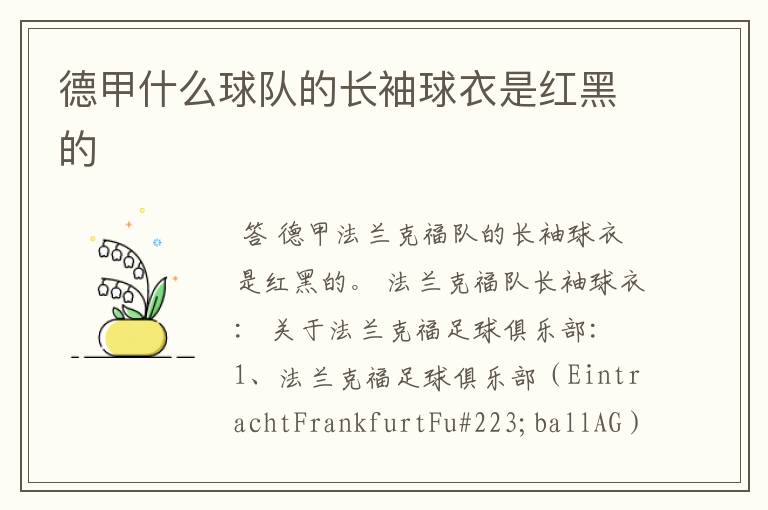 德甲什么球队的长袖球衣是红黑的