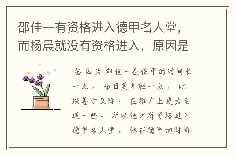 邵佳一有资格进入德甲名人堂,而杨晨就没有资格进入,原因是什么?