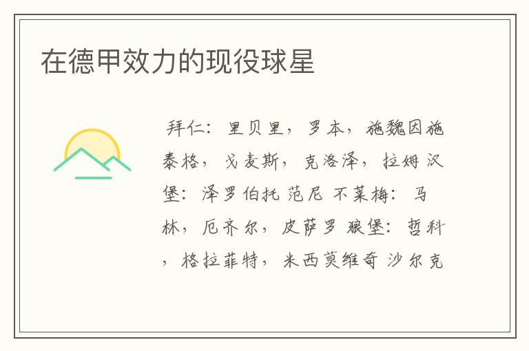 在德甲效力的现役球星