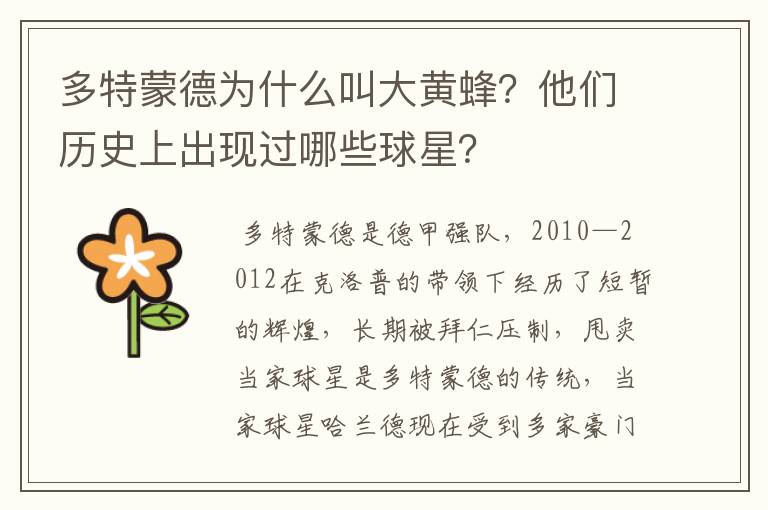 多特蒙德为什么叫大黄蜂?他们历史上出现过哪些球星?