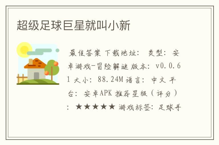 超级足球巨星就叫小新