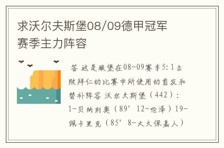 求沃尔夫斯堡08/09德甲冠军赛季主力阵容