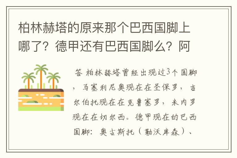 柏林赫塔的原来那个巴西国脚上哪了?德甲还有巴西国脚么?阿根廷国脚呢?