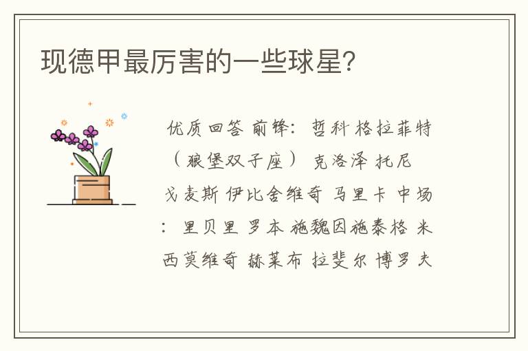 现德甲最厉害的一些球星?