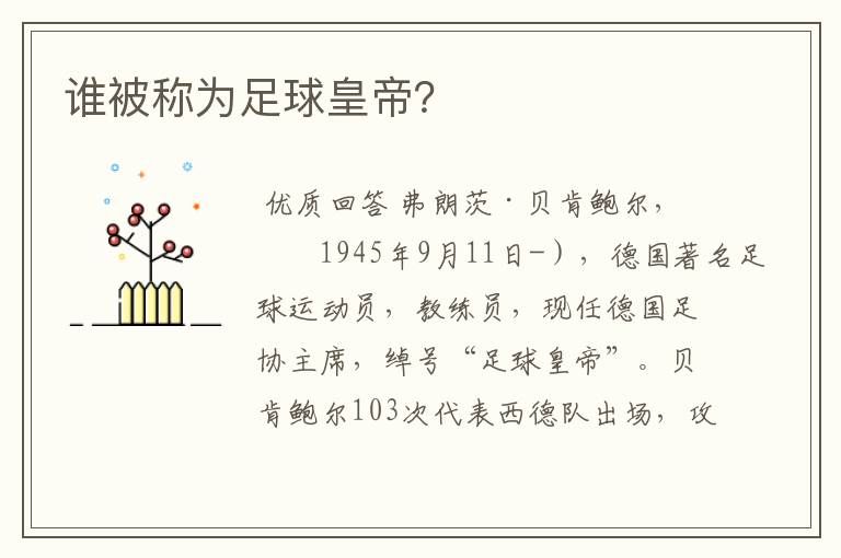 谁被称为足球皇帝?
