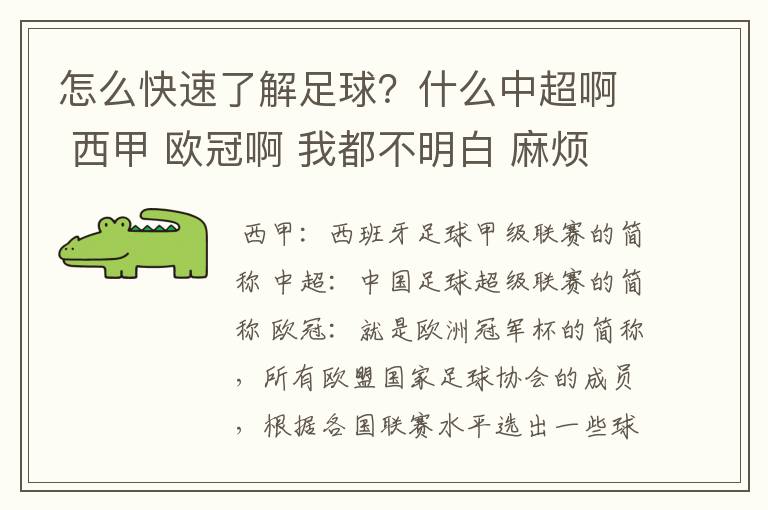 怎么快速了解足球?什么中超啊 西甲 欧冠啊 我都不明白 麻烦 有哪位特别了解足球的 跟我讲讲,多谢