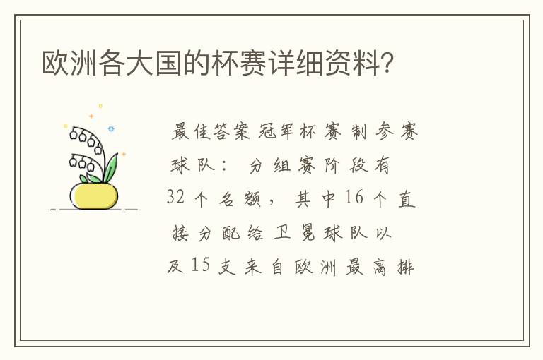 欧洲各大国的杯赛详细资料?