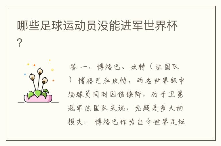 哪些足球运动员没能进军世界杯?