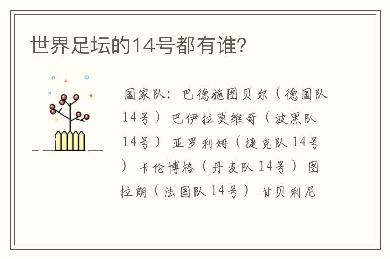 世界足坛的14号都有谁?